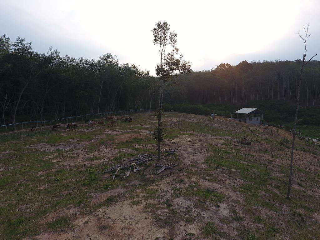Chalet Kampong Semawar Kuala Kangsar Eksteriør billede