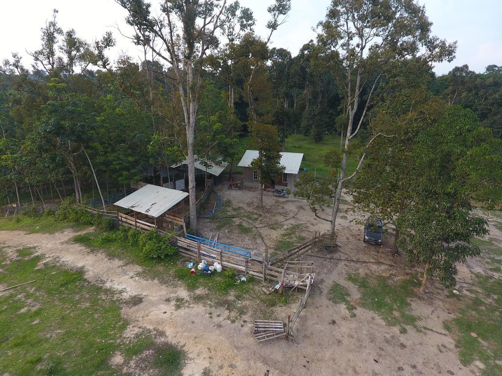 Chalet Kampong Semawar Kuala Kangsar Eksteriør billede